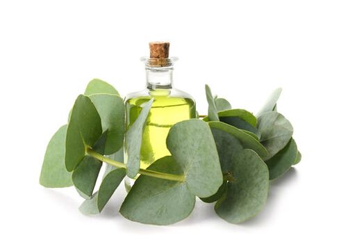 Huile d'eucalyptus dans le cadre de la crème ZXCVBNMQWert